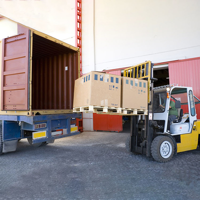 China To Turkey Professional Container Sea Freight Shipping Service Agent