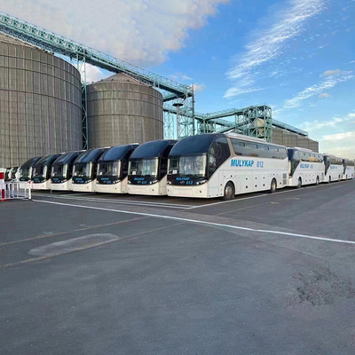 Container RORO Global Shipping Services From Shenzhen Logistics Company